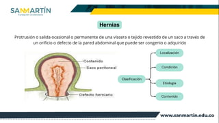 Comprehensive Overview of Abdominal Wall Defects and Hernias: Anatomy ...