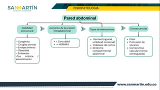 Comprehensive Overview of Abdominal Wall Defects and Hernias: Anatomy ...