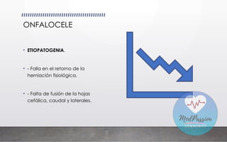 ONFALOCELE
• ETIOPATOGENIA.
• - Falla en el retorno de la
herniación fisiológica.
• - Falta de fusión de la hojas
cefálica, caudal y laterales.
 