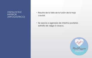 ONFALOCELE
INFERIOR
(HIPOGÁSTRICO)
• Resulta de la falla de la fusión de la hoja
caudal.
• Se asocia a agenesia de intestino posterior,
extrofia de vejiga ó cloaca.
 