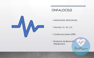 ONFALOCELE
• ANOMALÍAS ASOCIADAS.
• Trisomías 13, 18, y 21
• Cardiovasculares (20%)
• Síndrome de Beckwith-
Wiedemann.
 