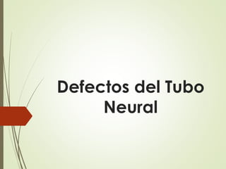 Defectos del Tubo 
Neural 
 
