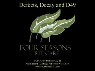 Defects, Decay and D49 TCIA Accreditation #CA-21  Adam Heard - Certified Arborist #WE-7763A www.FourSeasonsTC.com 