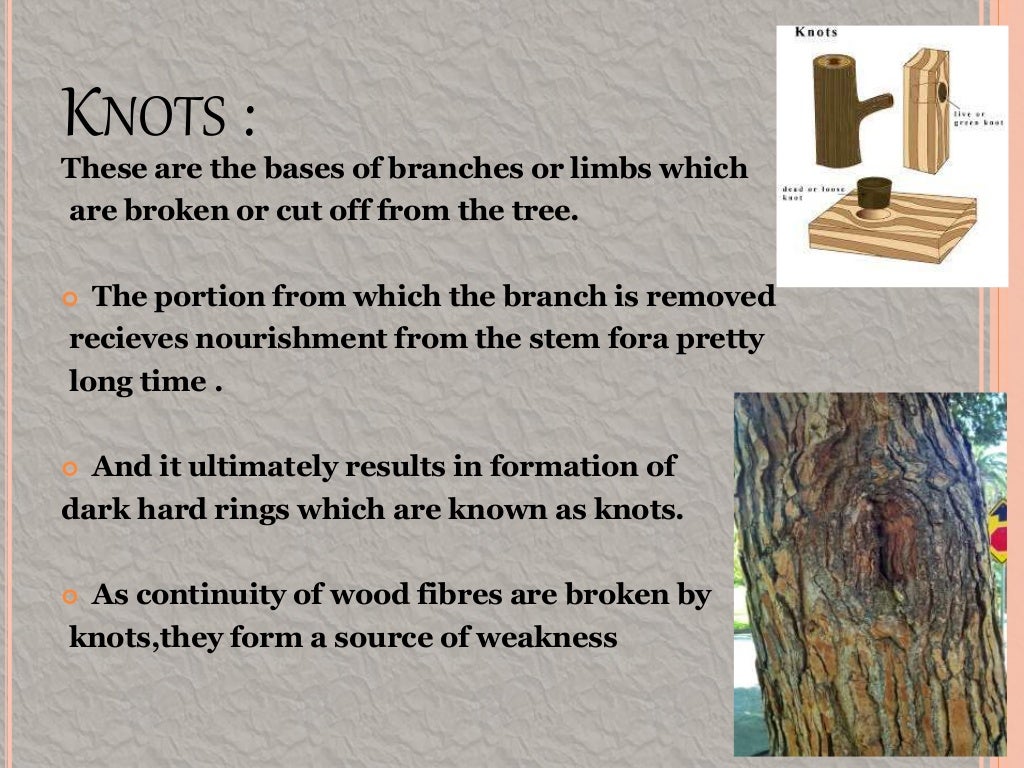 Defects in timber natural force