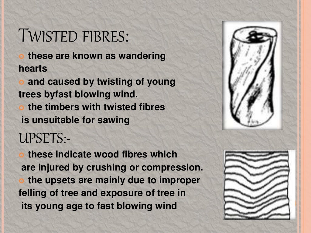 Defects in timber natural force