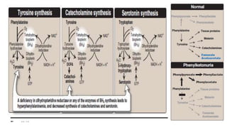 Defects in amino acid metabolism | PPTX