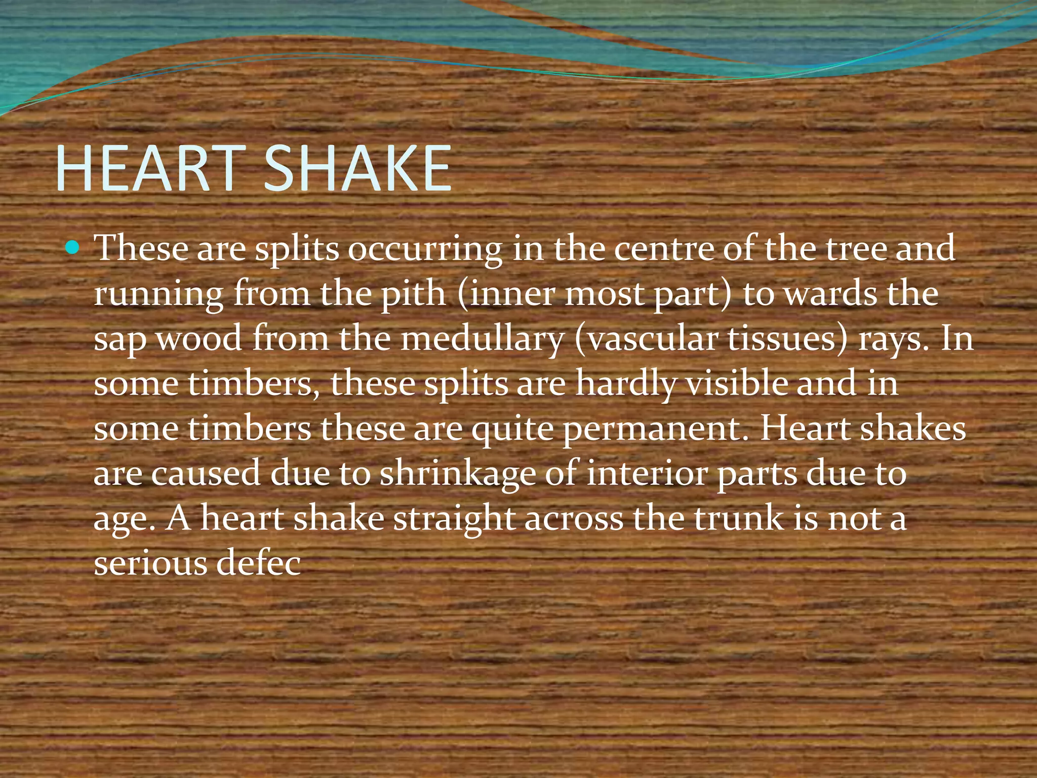 HEART SHAKE
 These are splits occurring in the centre of the tree and
running from the pith (inner most part) to wards the
sap wood from the medullary (vascular tissues) rays. In
some timbers, these splits are hardly visible and in
some timbers these are quite permanent. Heart shakes
are caused due to shrinkage of interior parts due to
age. A heart shake straight across the trunk is not a
serious defec
 