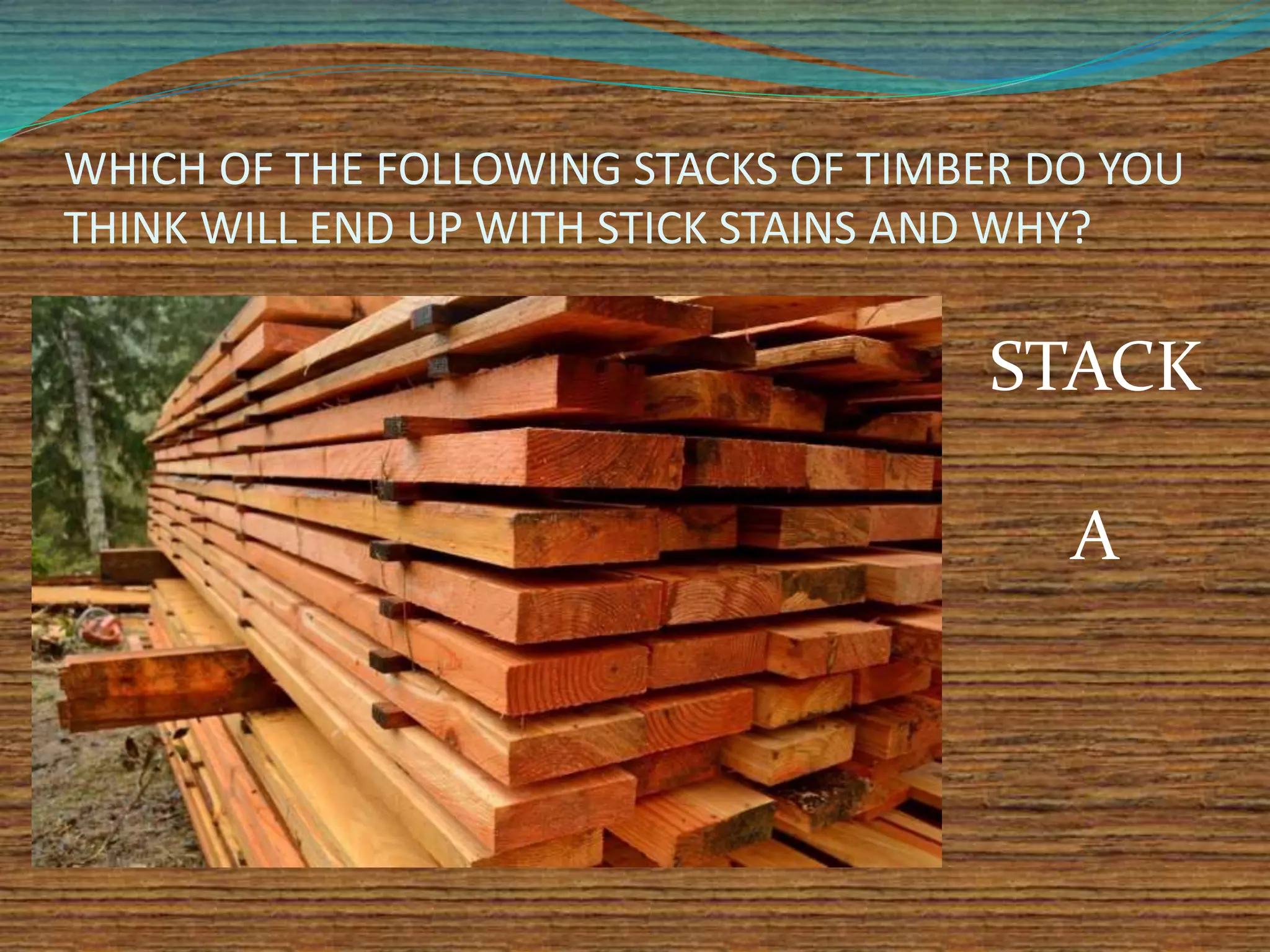 WHICH OF THE FOLLOWING STACKS OF TIMBER DO YOU
THINK WILL END UP WITH STICK STAINS AND WHY?
STACK
A
 