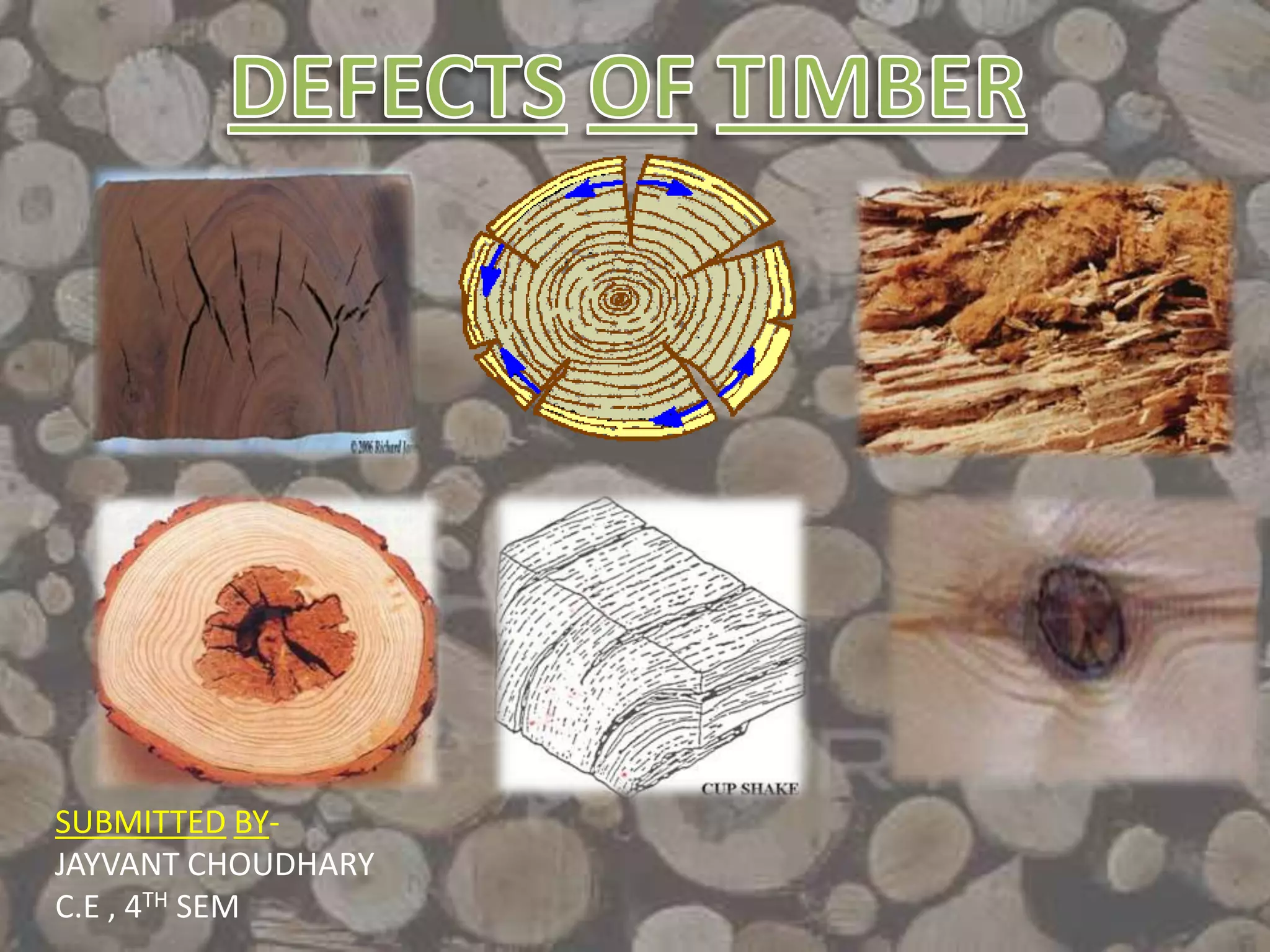 Defects in timber PPT