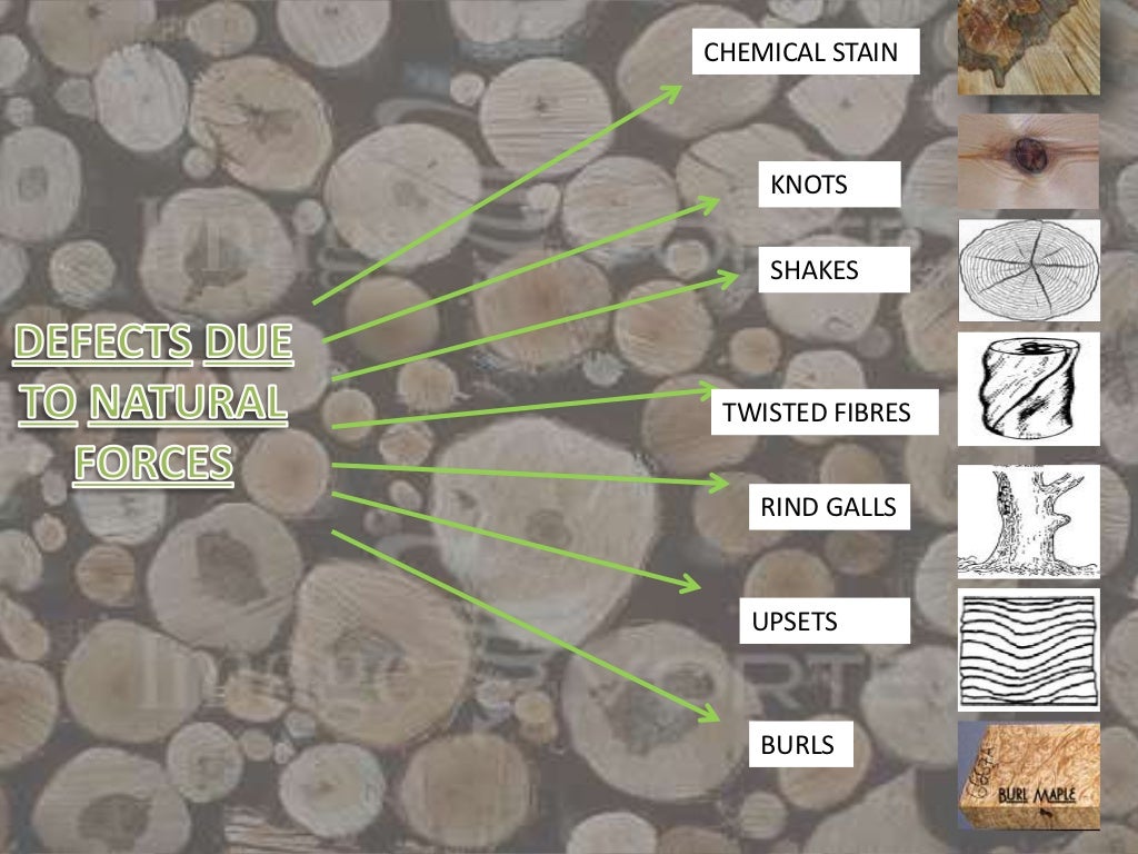 defects-in-timber