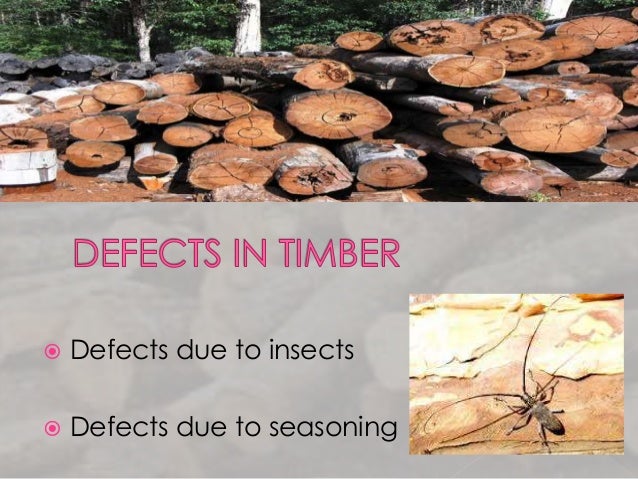 Defects In Timber 1
