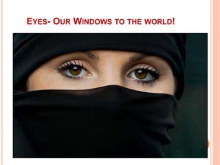 EYES- OUR WINDOWS TO THE WORLD!
 