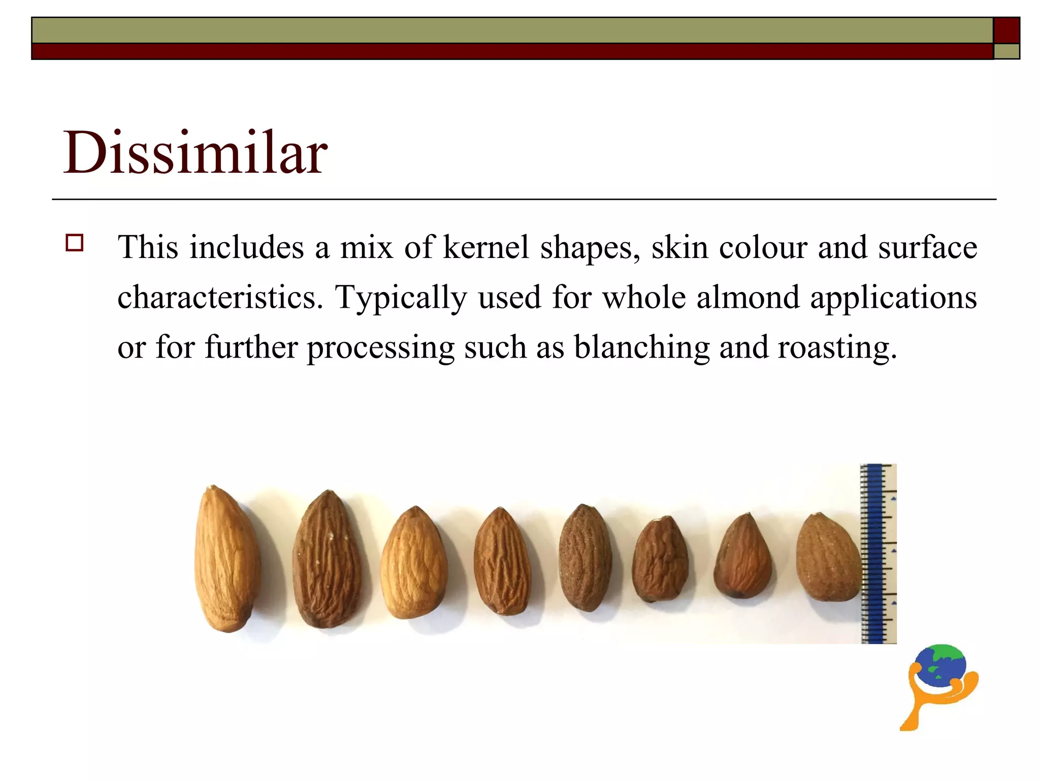 Dissimilar
 This includes a mix of kernel shapes, skin colour and surface
characteristics. Typically used for whole almond applications
or for further processing such as blanching and roasting.
 