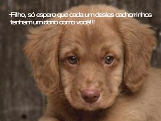Filho, só espero que cada um destes cachorrinhos tenham um dono como você!!!   
