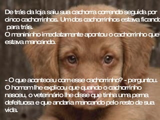 De trás da loja saiu sua cachorra correndo seguida por cinco cachorrinhos. Um dos cachorrinhos estava ficando  para trás.  O menininho imediatamente apontou o cachorrinho que estava mancando.  - O que aconteceu com esse cachorrinho? - perguntou.  O homem lhe explicou que quando o cachorrinho nasceu, o veterinário lhe disse que tinha uma perna defeituosa e que andaria mancando pelo resto de sua vida. 