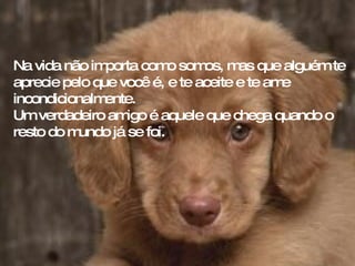 Na vida não importa como somos, mas que alguém te aprecie pelo que você é, e te aceite e te ame incondicionalmente.  Um verdadeiro amigo é aquele que chega quando o resto do mundo já se foi.   