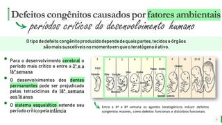 MELHOR para você
E M P R E S A D E O R G Â N I C O S
Defeitoscongênitoscausadospor fatoresambientais
8
períodos críticos do desenvolvimento humano
• Para o desenvolvimento cerebral o
período mais crítico e entre a 3ª e a
16ªsemana
• O desenvolvimentos dos dentes
permanentes pode ser prejudicado
pelas tetraciclinas da 18ª semana
aos16 anos
• O sistema esquelético estende seu
períodocríticopelainfância
O tipodedefeitocongênitoproduzidodependedequaispartes,tecidose órgãos
são maissuscetíveisno momentoem queo teratógenoéativo.
Entre a 4ª e 8ª semana os agentes teratogênicos induzir defeitos
congênitos maiores, como defeitos funcionais e distúrbios funcionais.
 