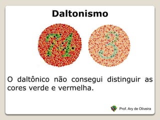 Daltonismo
Prof. Ary de Oliveira
O daltônico não consegui distinguir as
cores verde e vermelha.
 