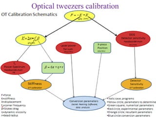 Optical tweezers calibration
 