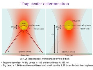Trap center determination




                  At 1.2r (bead radius) from surface fc≈1/2 of bulk
• Trap center offset for big beads is 186 and small bead is 367 nm
• Big bead is 1.96 times the small bead and small bead is 1.97 times farther then big bead
 