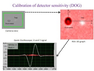 Calibration of detector sensitivity (DOG)
 
