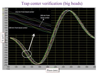 X (mV)
X (mV)   Trap center verification (big beads)




                        Piezo (nm)
                         Piezo (nm)
 