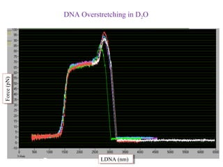 DNA Overstretching in D2O
Force (pN)
Force (pN)




                       LDNA (nm)
                        LDNA (nm)
 