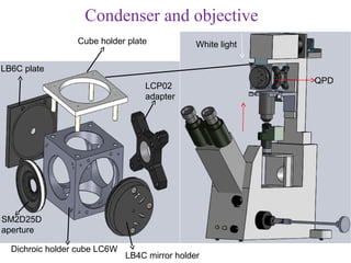 Condenser and objective
                 Cube holder plate             White light

LB6C plate
                                                             QPD
                                  LCP02
                                  adapter




SM2D25D
aperture

  Dichroic holder cube LC6W
                              LB4C mirror holder
 