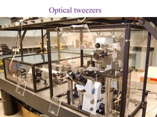 Optical tweezers
 