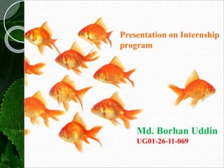 Presentation on Internship
program
Md. Borhan Uddin
UG01-26-11-069
 