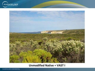 KLEINFELDER CONFIDENTIAL
Unmodified Native = VAST I
 
