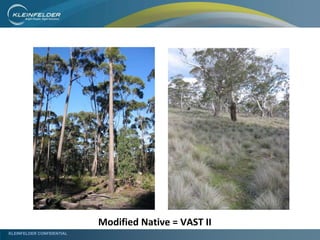 KLEINFELDER CONFIDENTIAL
Modified Native = VAST II
 