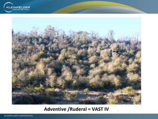 KLEINFELDER CONFIDENTIAL
Adventive /Ruderal = VAST IV
 