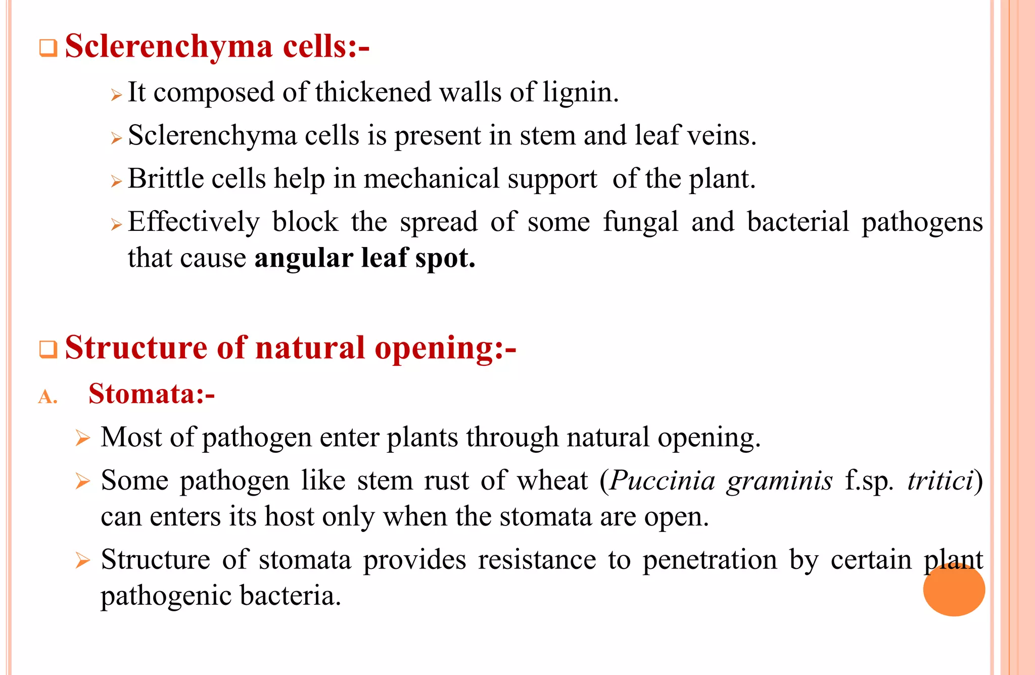 Sclerenchyma cells:-
 It composed of thickened walls of lignin.
 Sclerenchyma cells is present in stem and leaf veins.
 Brittle cells help in mechanical support of the plant.
 Effectively block the spread of some fungal and bacterial pathogens
that cause angular leaf spot.
 Structure of natural opening:-
A. Stomata:-
 Most of pathogen enter plants through natural opening.
 Some pathogen like stem rust of wheat (Puccinia graminis f.sp. tritici)
can enters its host only when the stomata are open.
 Structure of stomata provides resistance to penetration by certain plant
pathogenic bacteria.
 