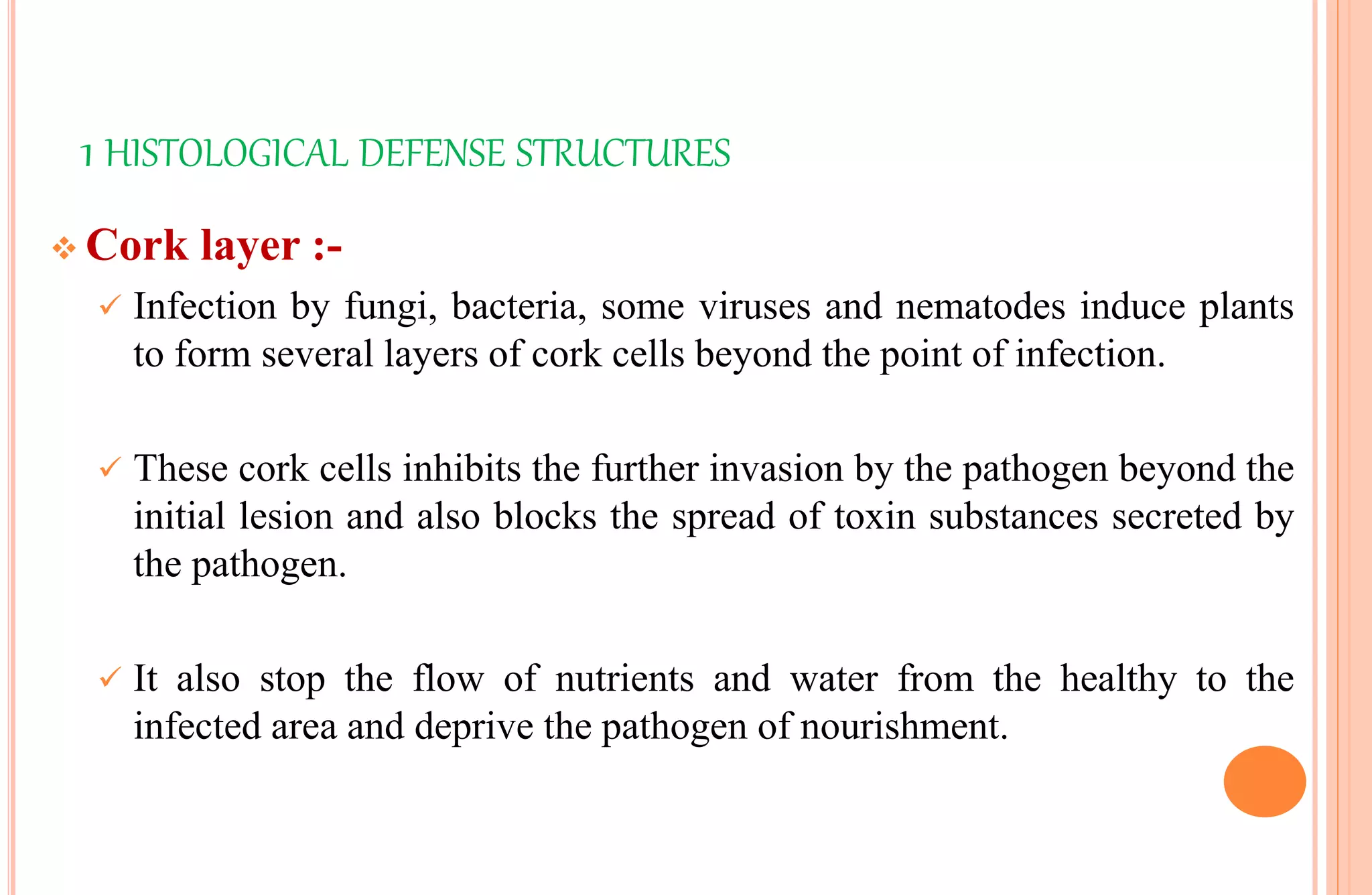 1 HISTOLOGICAL DEFENSE STRUCTURES
 Cork layer :-
 Infection by fungi, bacteria, some viruses and nematodes induce plants
to form several layers of cork cells beyond the point of infection.
 These cork cells inhibits the further invasion by the pathogen beyond the
initial lesion and also blocks the spread of toxin substances secreted by
the pathogen.
 It also stop the flow of nutrients and water from the healthy to the
infected area and deprive the pathogen of nourishment.
 