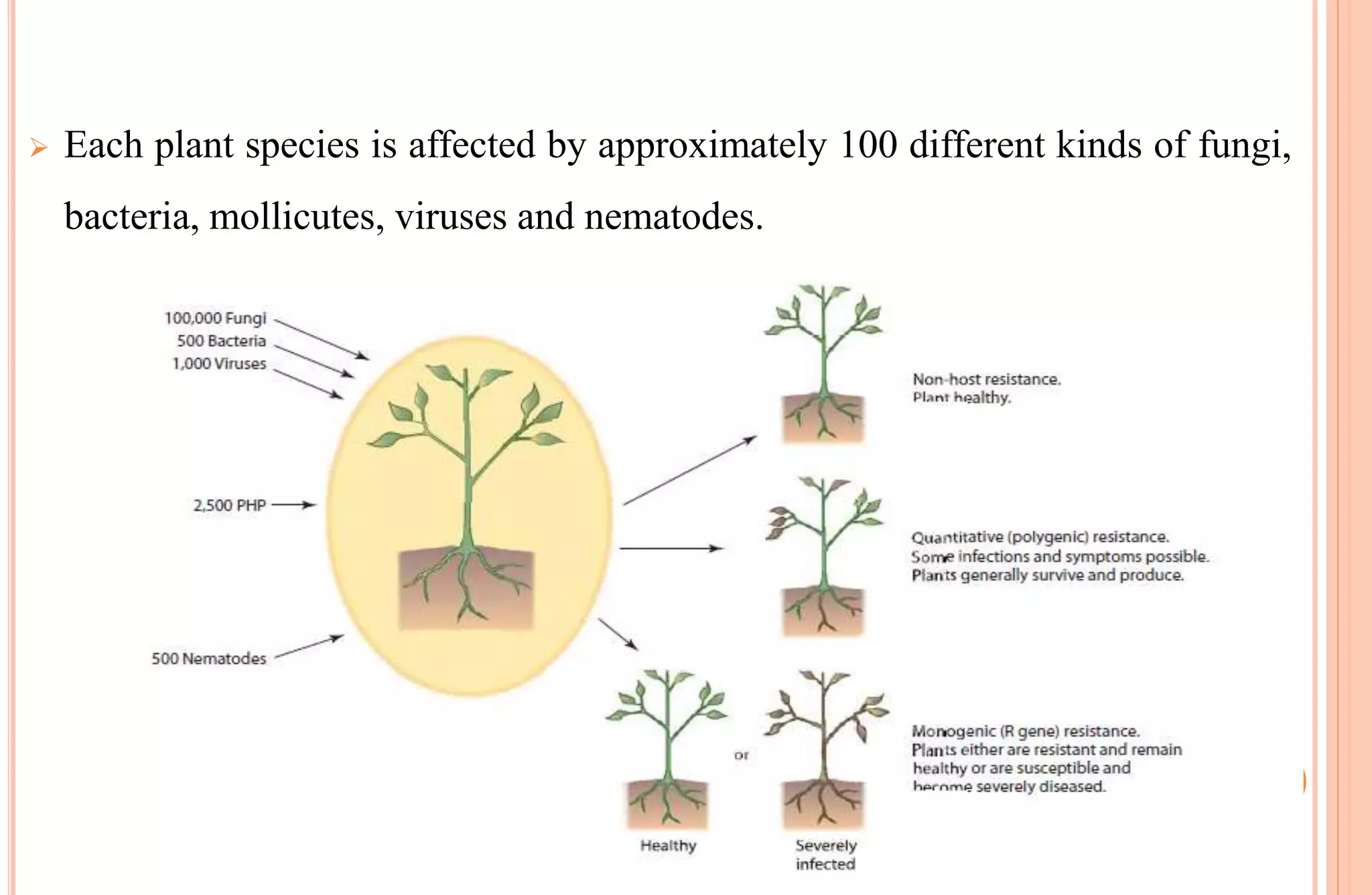  Each plant species is affected by approximately 100 different kinds of fungi,
bacteria, mollicutes, viruses and nematodes.
 