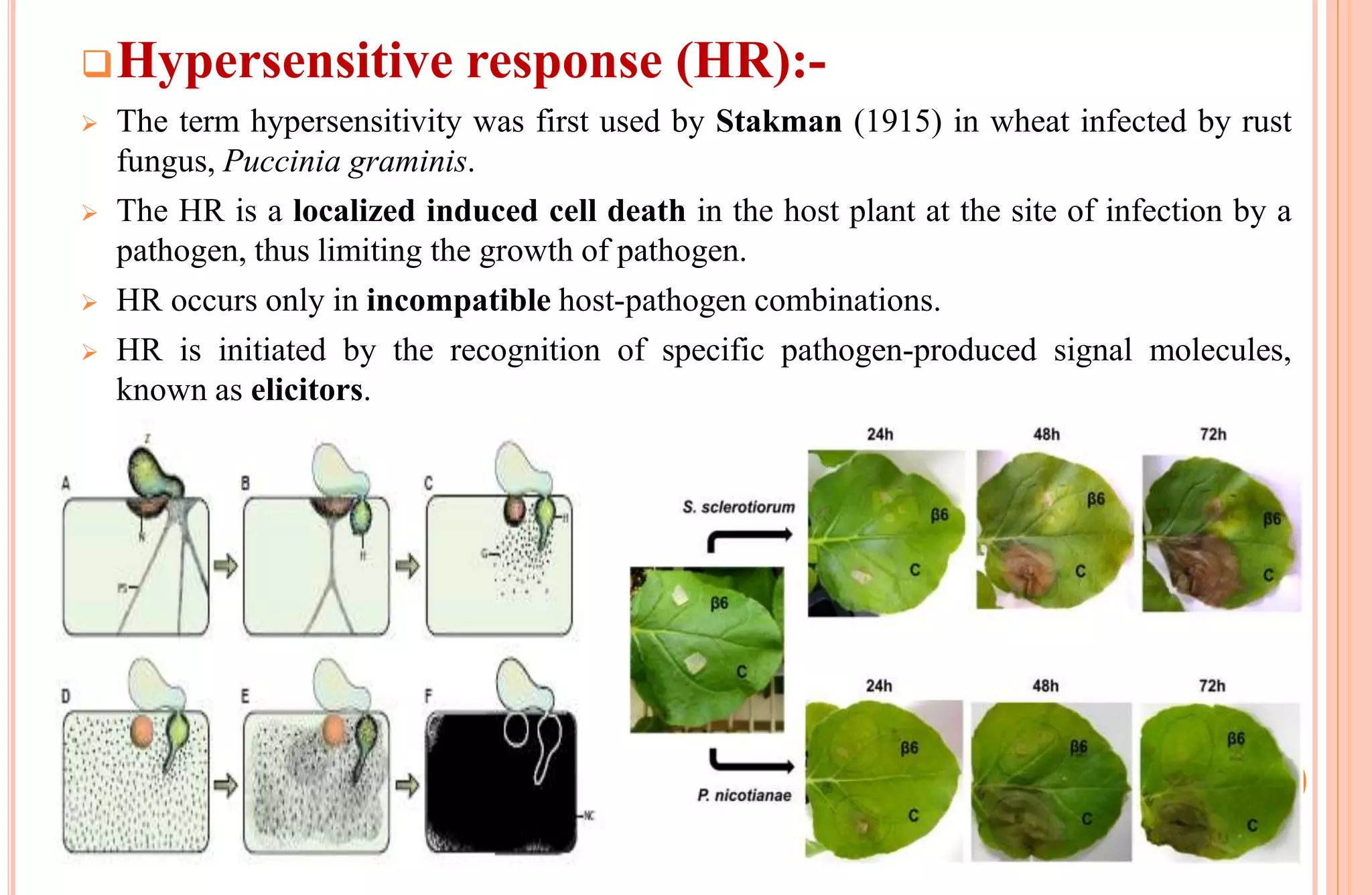 Hypersensitive response (HR):-
 The term hypersensitivity was first used by Stakman (1915) in wheat infected by rust
fungus, Puccinia graminis.
 The HR is a localized induced cell death in the host plant at the site of infection by a
pathogen, thus limiting the growth of pathogen.
 HR occurs only in incompatible host-pathogen combinations.
 HR is initiated by the recognition of specific pathogen-produced signal molecules,
known as elicitors.
 