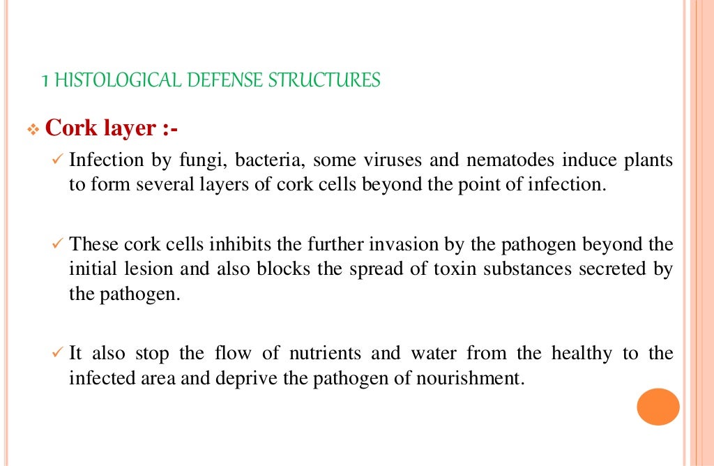 DEFENCE MECHANISM IN PLANTS AGAINST PATHOGENS (STRUCTURAL & BIOCHEMIC…