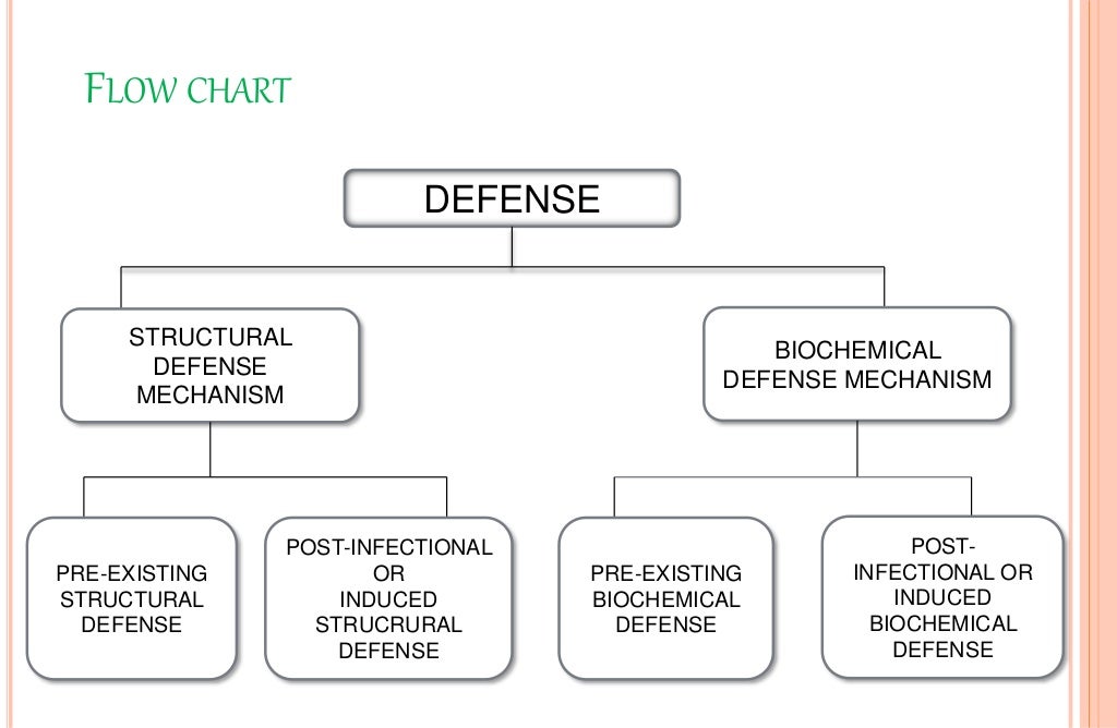 DEFENCE MECHANISM IN PLANTS AGAINST PATHOGENS (STRUCTURAL & BIOCHEMIC…