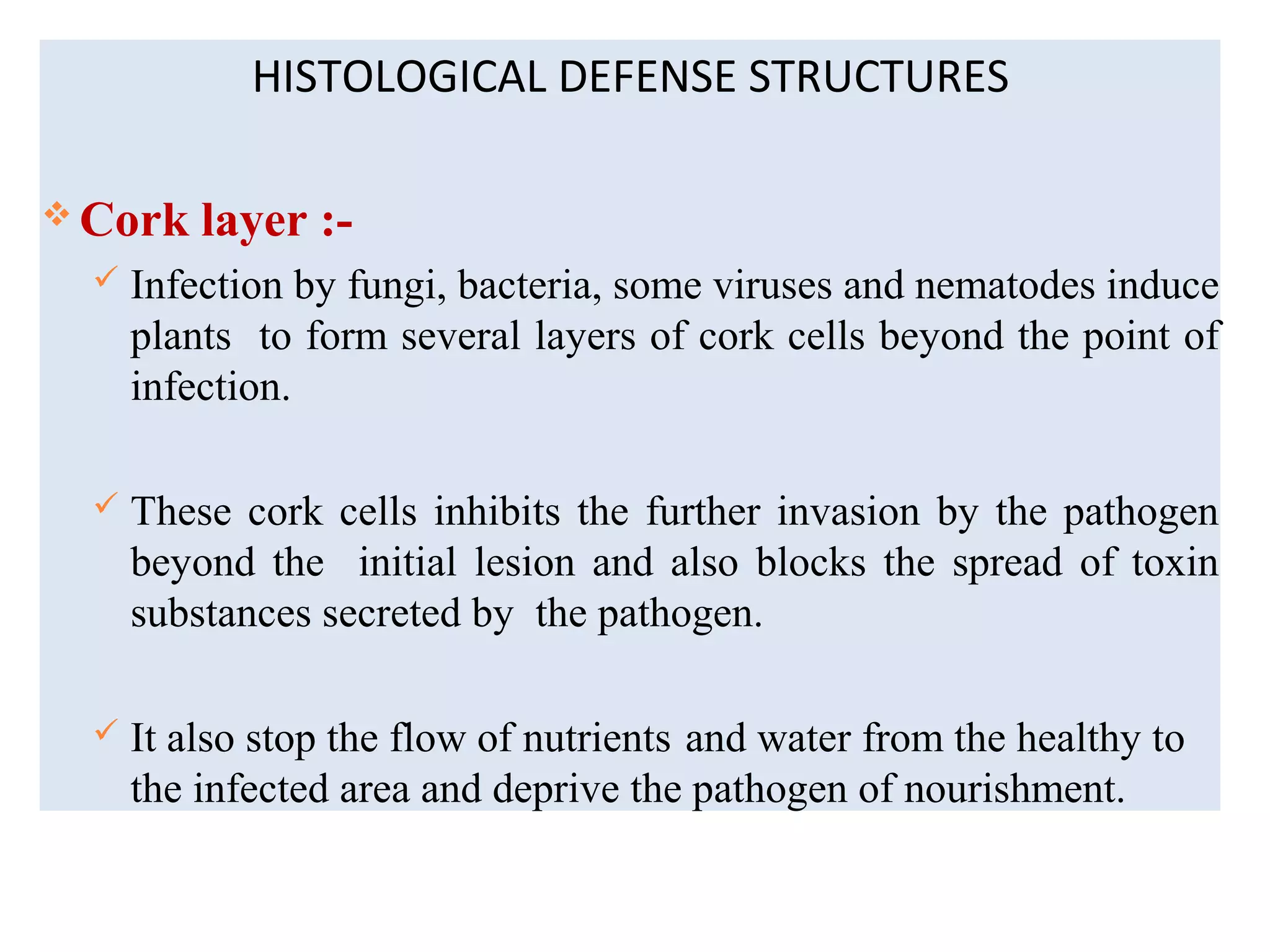 HISTOLOGICAL DEFENSE STRUCTURES
 Cork layer :-
 Infection by fungi, bacteria, some viruses and nematodes induce
plants to form several layers of cork cells beyond the point of
infection.
 These cork cells inhibits the further invasion by the pathogen
beyond the initial lesion and also blocks the spread of toxin
substances secreted by the pathogen.
 It also stop the flow of nutrients and water from the healthy to
the infected area and deprive the pathogen of nourishment.
 
