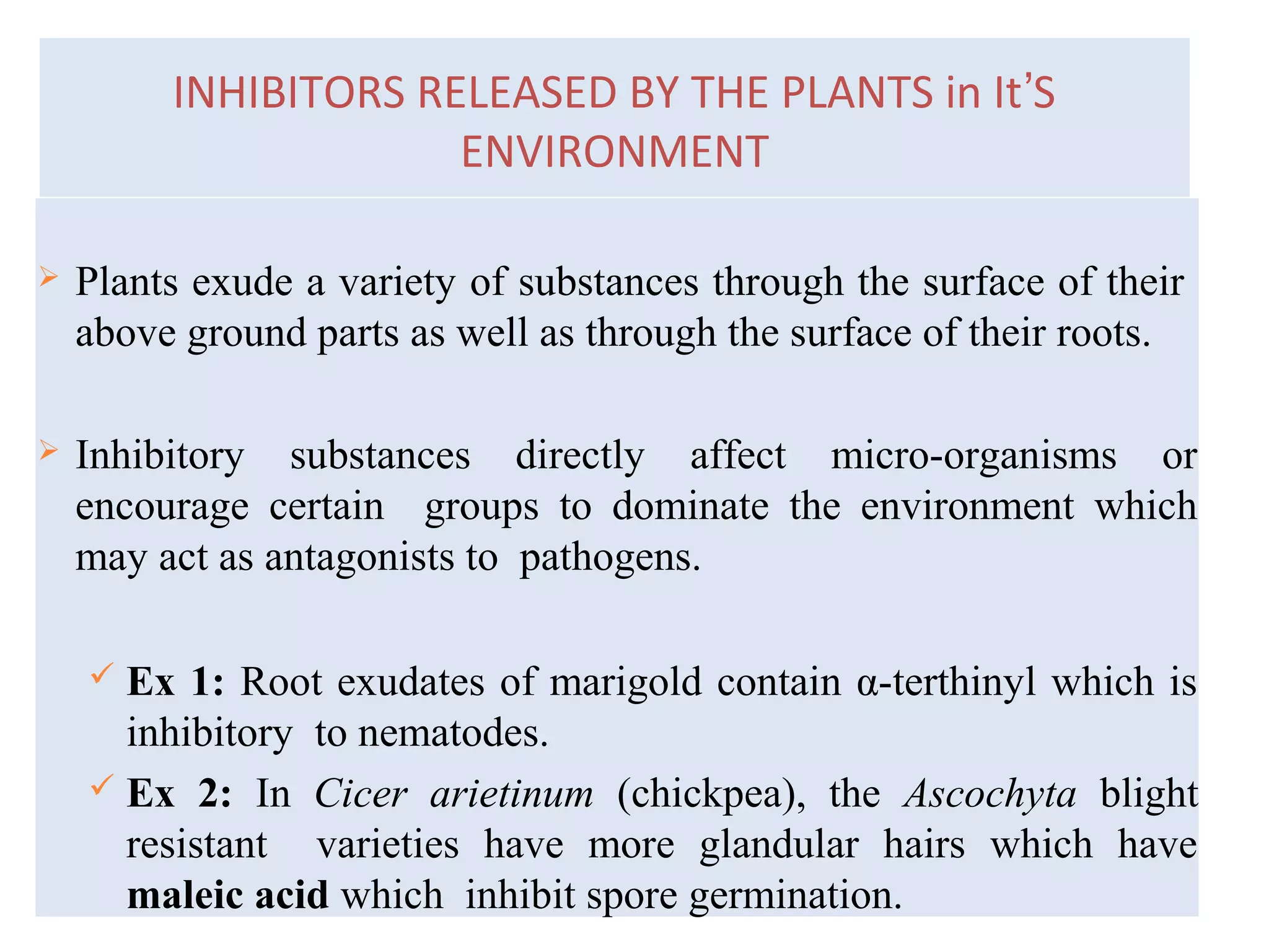  Plants exude a variety of substances through the surface of their
above ground parts as well as through the surface of their roots.
 Inhibitory substances directly affect micro-organisms or
encourage certain groups to dominate the environment which
may act as antagonists to pathogens.
 Ex 1: Root exudates of marigold contain α-terthinyl which is
inhibitory to nematodes.
 Ex 2: In Cicer arietinum (chickpea), the Ascochyta blight
resistant varieties have more glandular hairs which have
maleic acid which inhibit spore germination.
INHIBITORS RELEASED BY THE PLANTS in It Sʼ
ENVIRONMENT
 