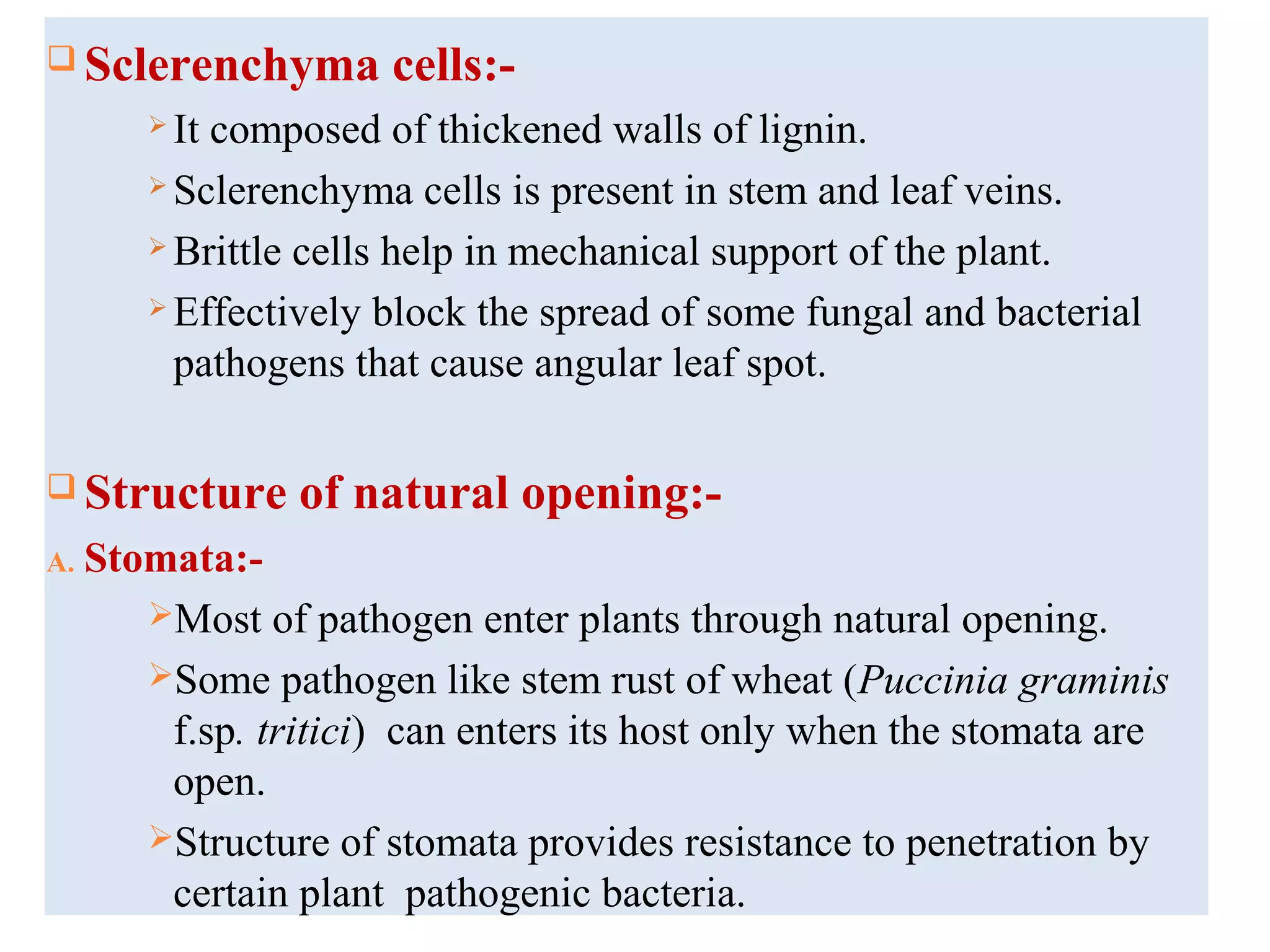  Sclerenchyma cells:-
 It composed of thickened walls of lignin.
 Sclerenchyma cells is present in stem and leaf veins.
 Brittle cells help in mechanical support of the plant.
 Effectively block the spread of some fungal and bacterial
pathogens that cause angular leaf spot.
 Structure of natural opening:-
A. Stomata:-
Most of pathogen enter plants through natural opening.
Some pathogen like stem rust of wheat (Puccinia graminis
f.sp. tritici) can enters its host only when the stomata are
open.
Structure of stomata provides resistance to penetration by
certain plant pathogenic bacteria.
 