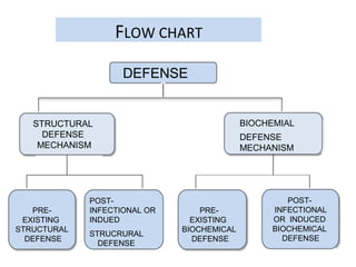 Defence mechanism.ppt new | PPT