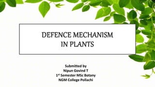 DEFENCE MECHANISM
IN PLANTS
Submitted by
Nipun Govind T
1st Semester MSc Botany
NGM College Pollachi
 