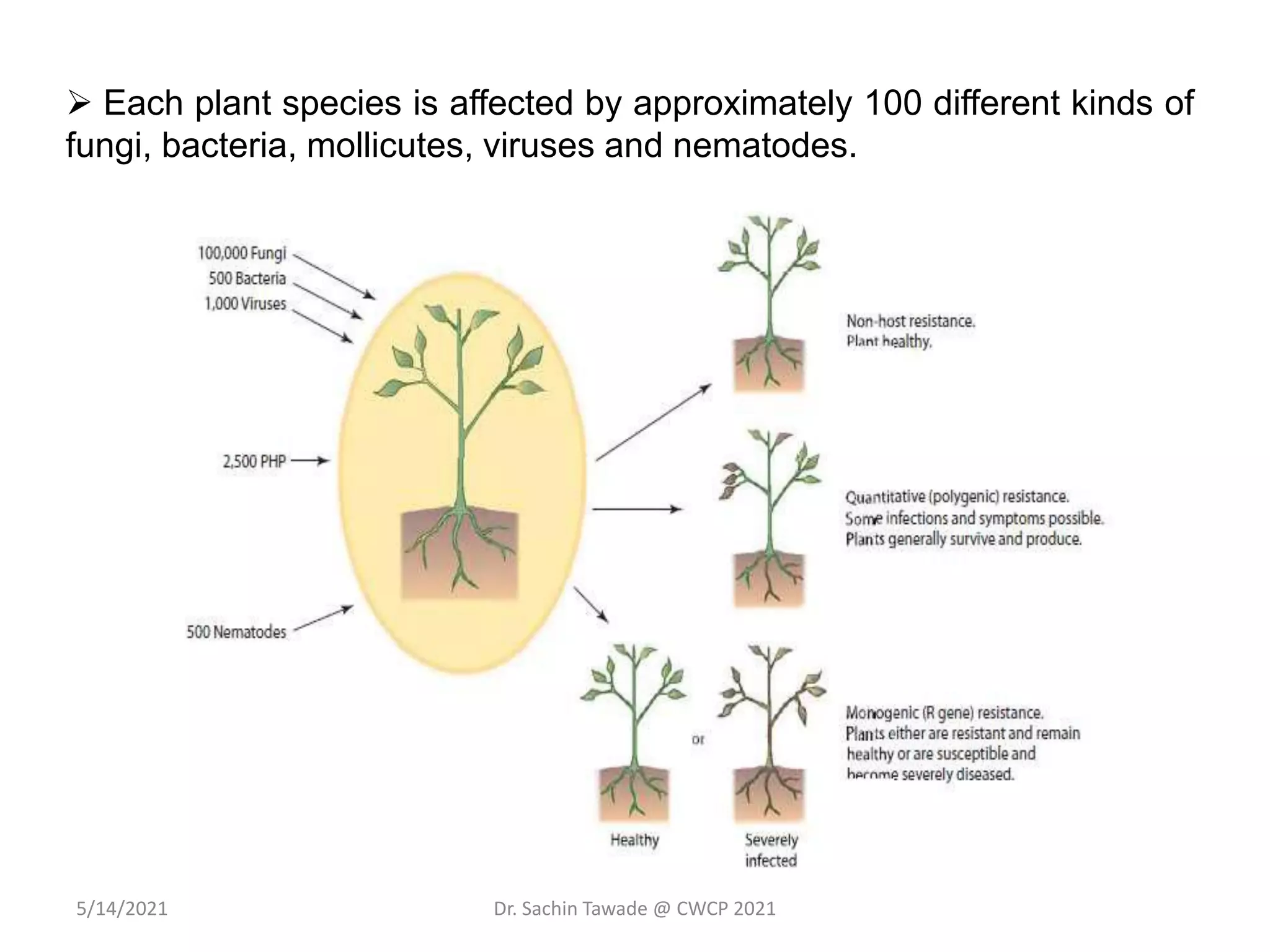 Defence mechanism in plants pdf | PDF