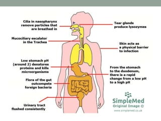 defence mechanism of body 4.pptx