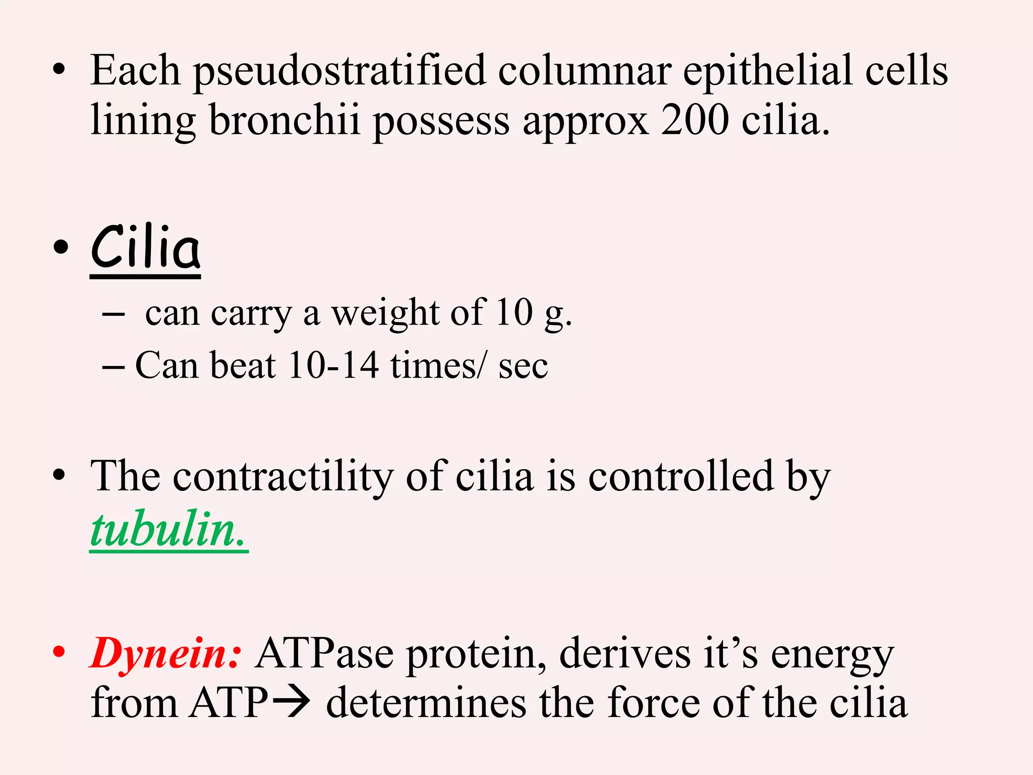 • Each pseudostratified columnar epithelial cells
lining bronchii possess approx 200 cilia.
• Cilia
– can carry a weight of 10 g.
– Can beat 10-14 times/ sec
• The contractility of cilia is controlled by
• Dynein: ATPase protein, derives it’s energy
from ATP determines the force of the cilia
 