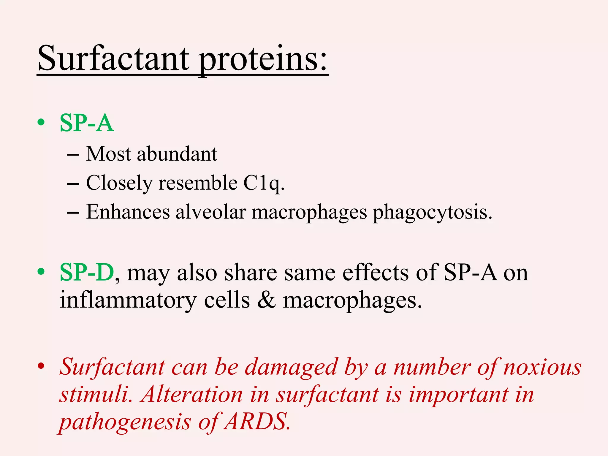 Surfactant proteins:
– Most abundant
– Closely resemble C1q.
– Enhances alveolar macrophages phagocytosis.
, may also share same effects of SP-A on
inflammatory cells & macrophages.
• Surfactant can be damaged by a number of noxious
stimuli. Alteration in surfactant is important in
pathogenesis of ARDS.
 