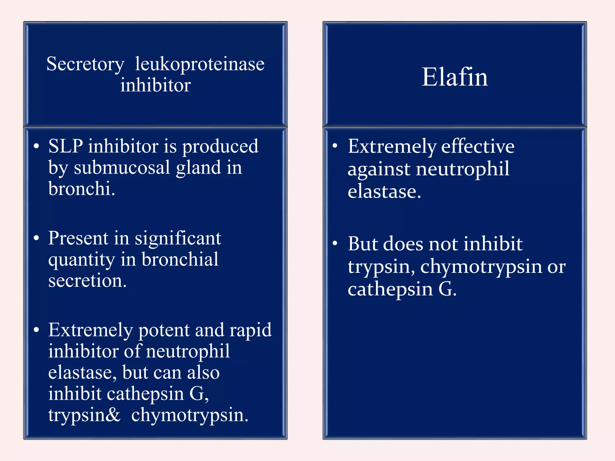 Secretory leukoproteinase
inhibitor
• SLP inhibitor is produced
by submucosal gland in
bronchi.
• Present in significant
quantity in bronchial
secretion.
• Extremely potent and rapid
inhibitor of neutrophil
elastase, but can also
inhibit cathepsin G,
trypsin& chymotrypsin.
Elafin
• Extremely effective
against neutrophil
elastase.
• But does not inhibit
trypsin, chymotrypsin or
cathepsin G.
 