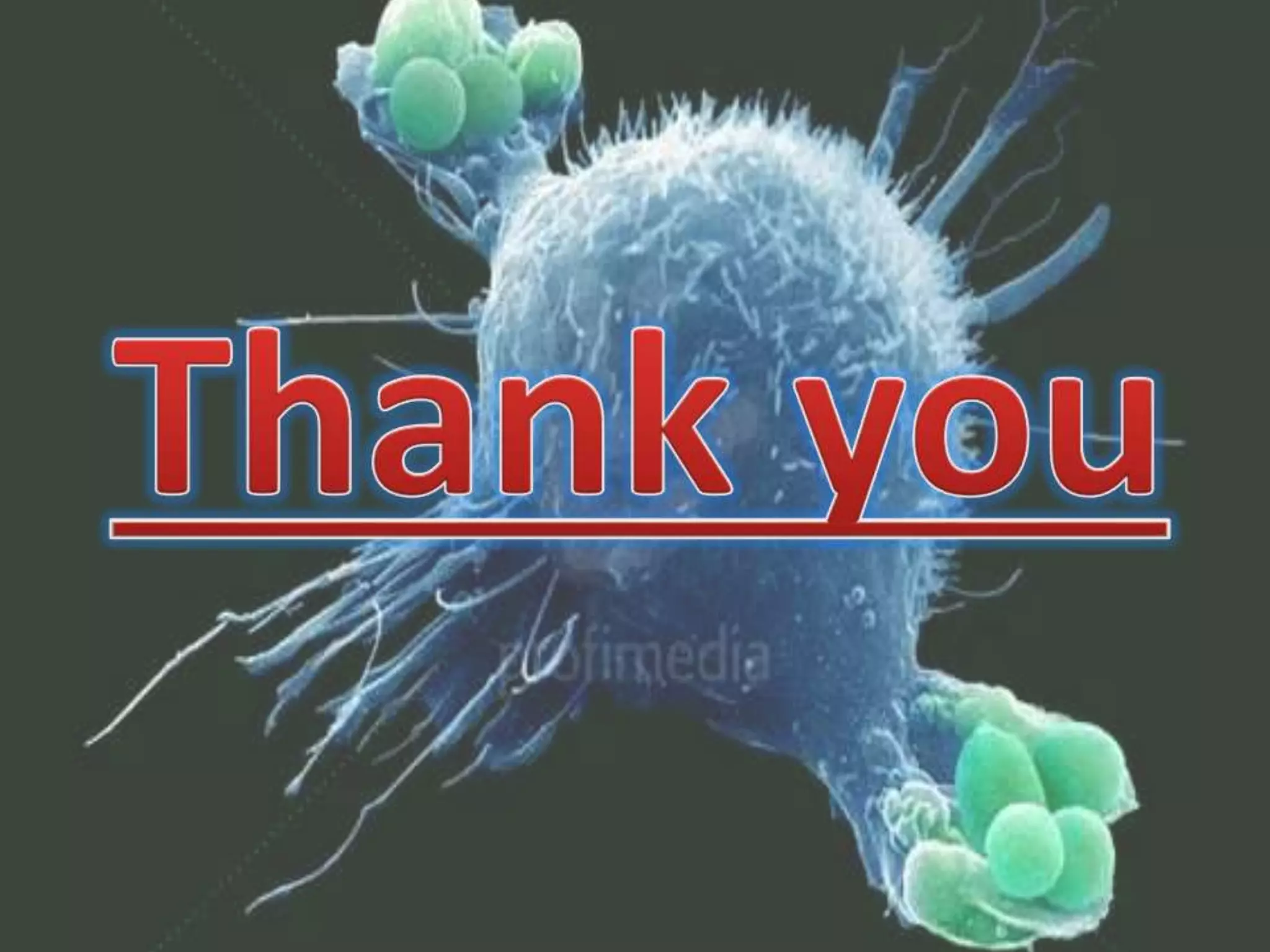 Defence mechanism of lung